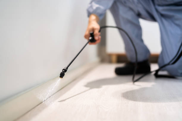 Licensed Rodent Control service in McLeansboro, IL - Nex Pest Control