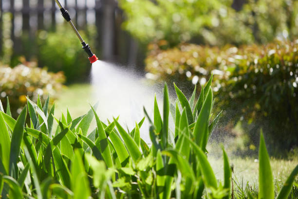 24/7 Emergency Rodent Control experts in McLeansboro, IL