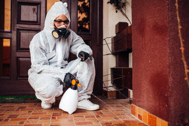 Reliable Rodent Control contractor in McLeansboro, IL by Nex Pest Control