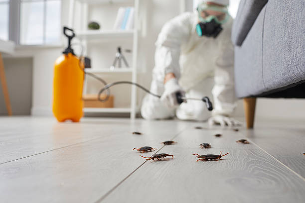 Trusted Rodent Control service in McLeansboro, IL - Nex Pest Control