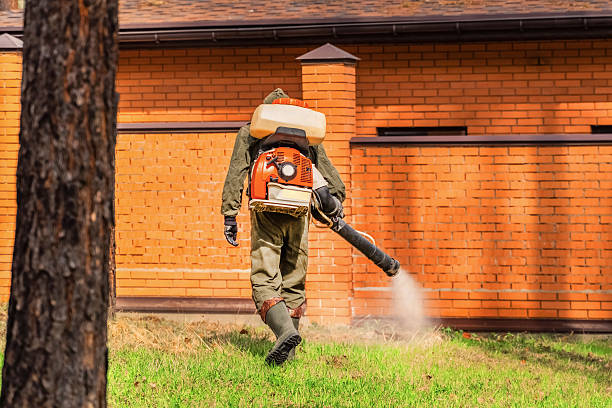 Trusted Bed Bug Control service in McLeansboro, IL - Nex Pest Control